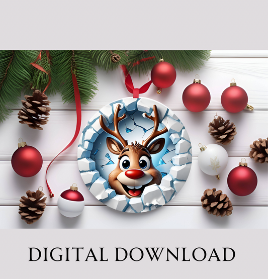 Digital Download - Christmas Ornament Bundle 6 images included