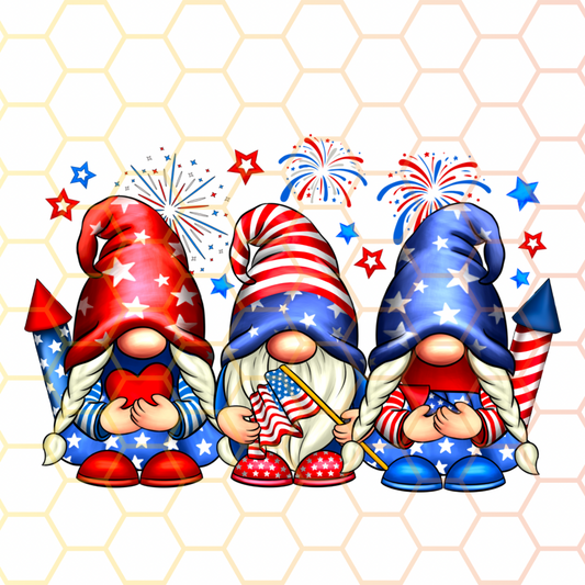 TS - Patriotic Gnomes