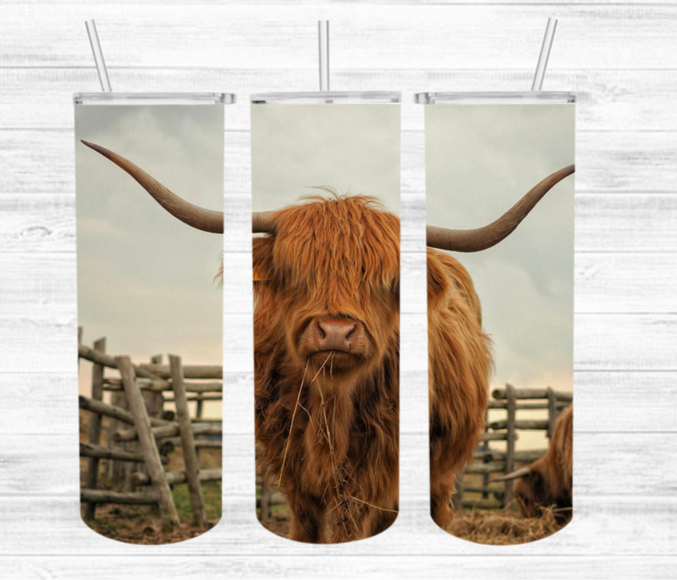 Highland Heifer Tumbler Wrap