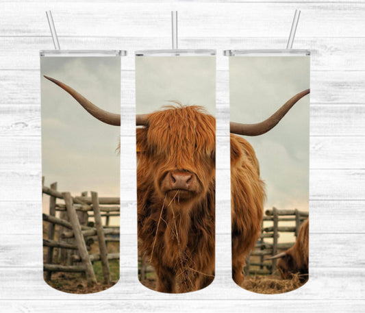 Highland Heifer Tumbler Wrap